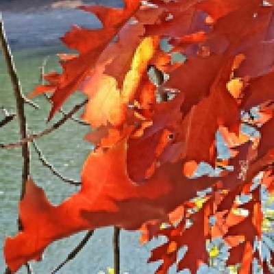 27. Renata H.: Barvy podzimu